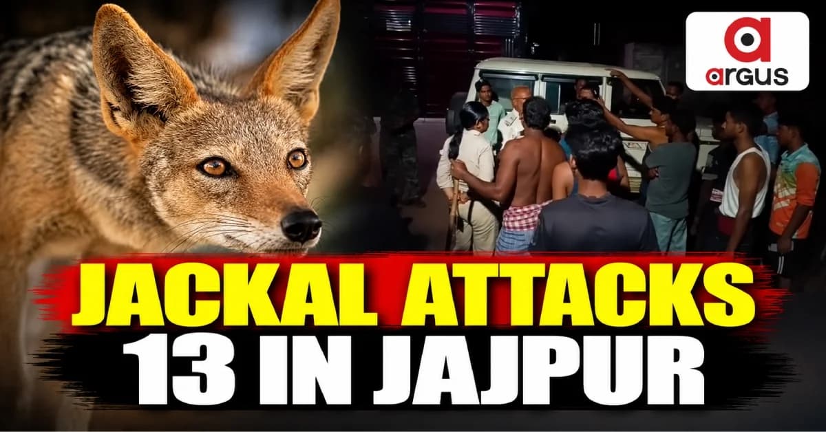Jackal Goes on Biting Spree in Odisha's Jajpur District; 13 Injured