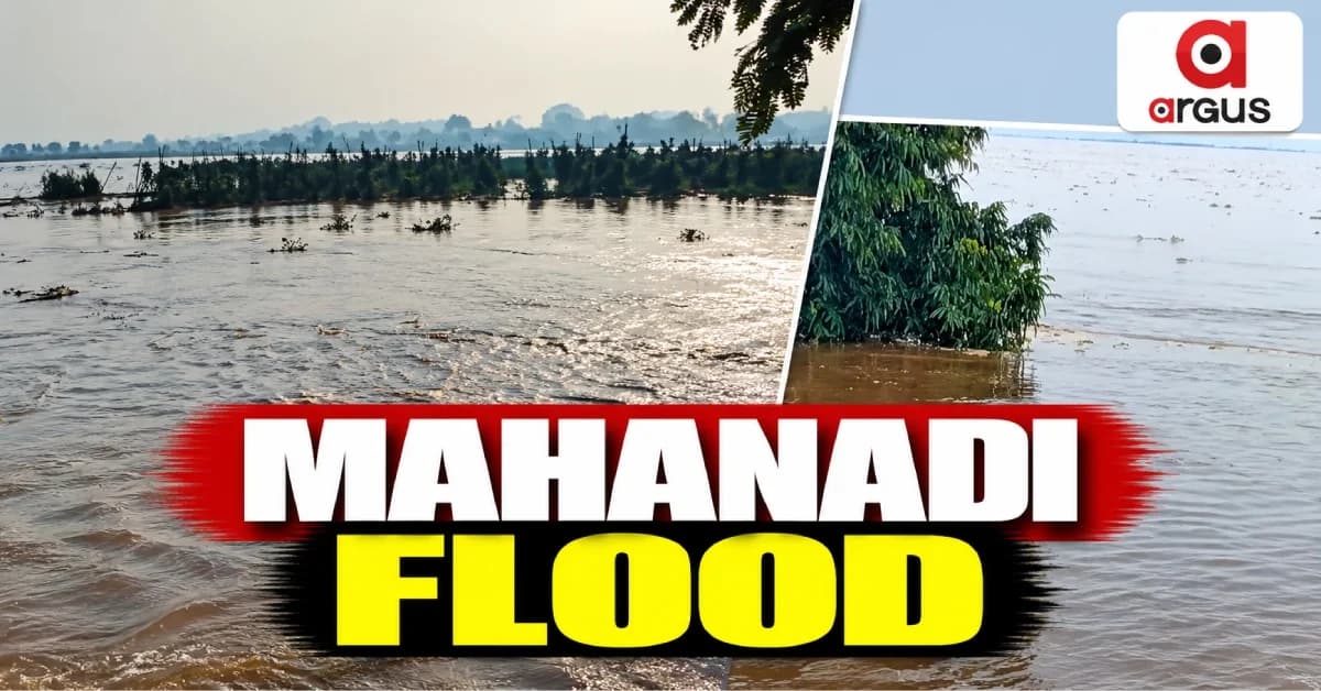 Mahanadi Flood: Jute Fields Inundated in Banki's Bilipada, Maa Bada Bandhiani Temple Submerged in Tigiria