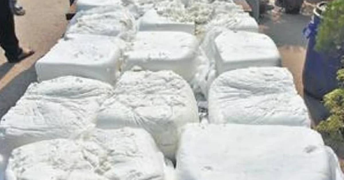 Paneer Adulteration Row Rocks Odisha, 11 Booked