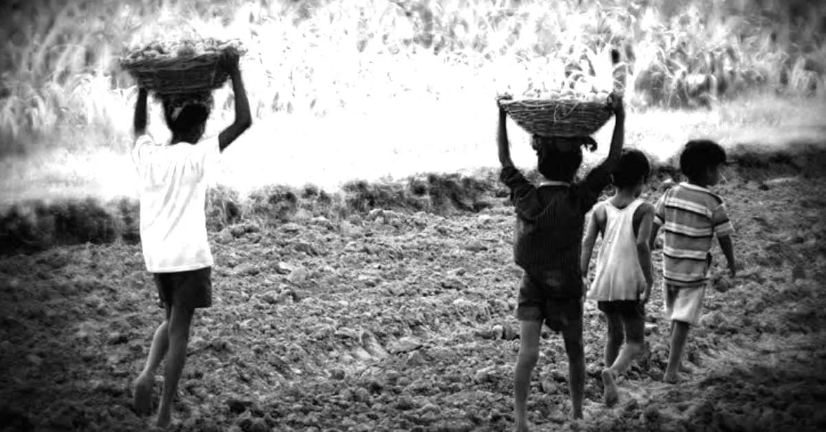 Dhenkanal Launches Crackdown on Child Labour, Rescued Children to Return to Schools