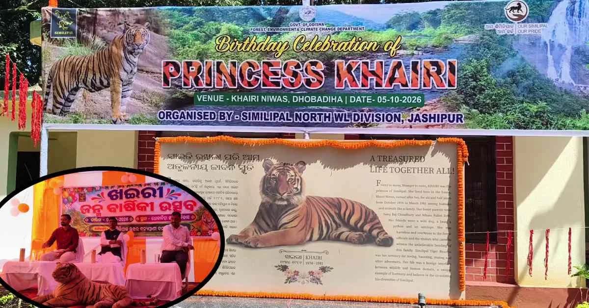 Odisha Remembers Legendary Tigress Khairi on 53rd Birth Anniversary