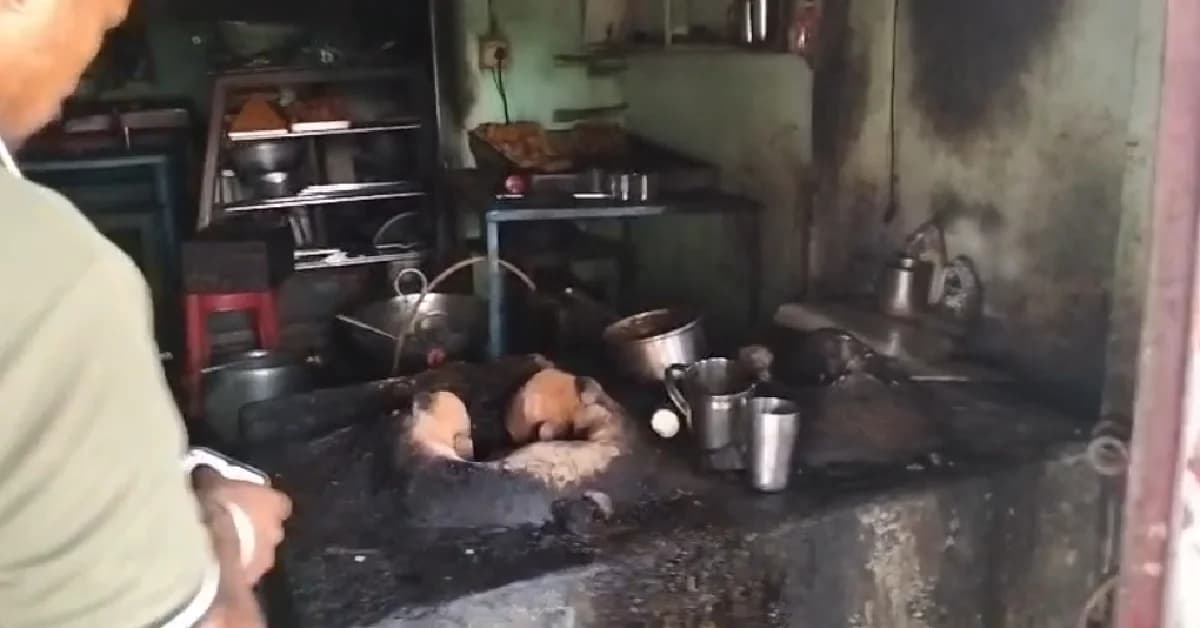 Salepur Gas Cylinder Blast: Death Toll Rises To Five In Odisha’s Kataka District