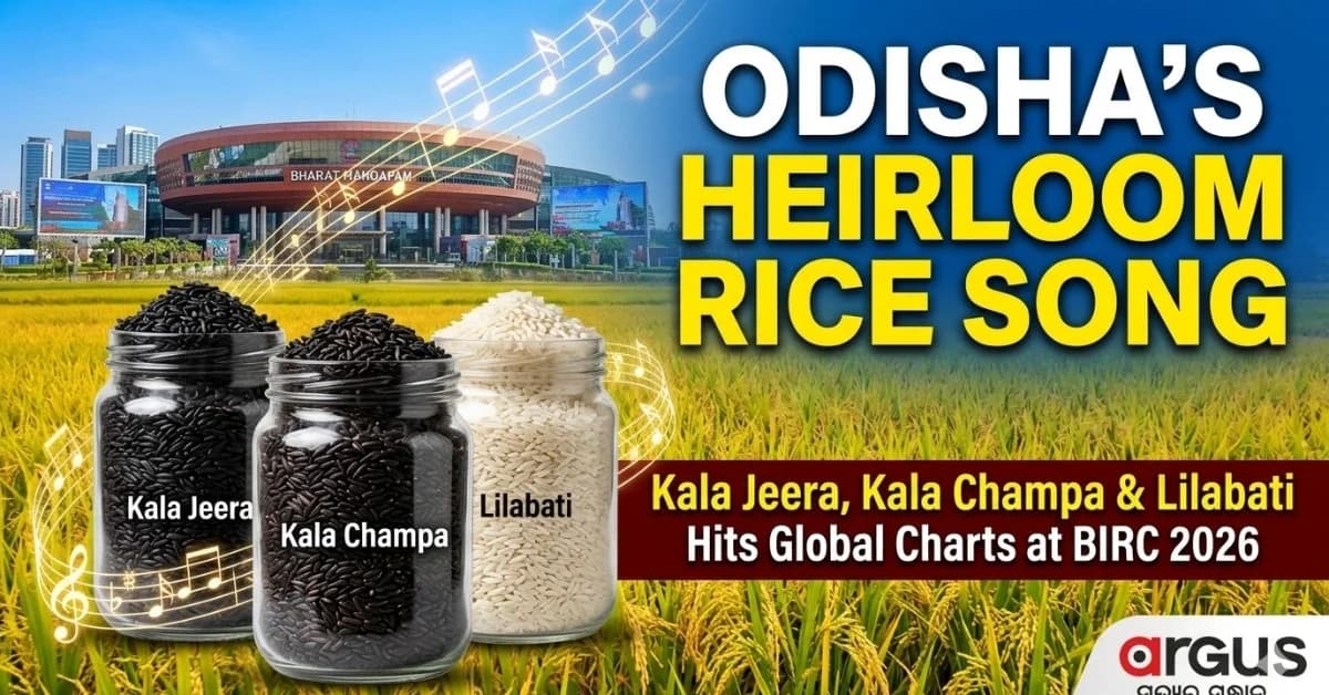 Special Report| From Kala Jeera to Lilabati: Odisha’s Heirloom Rice Song Tops Global Agribusiness Charts at BIRC 2026