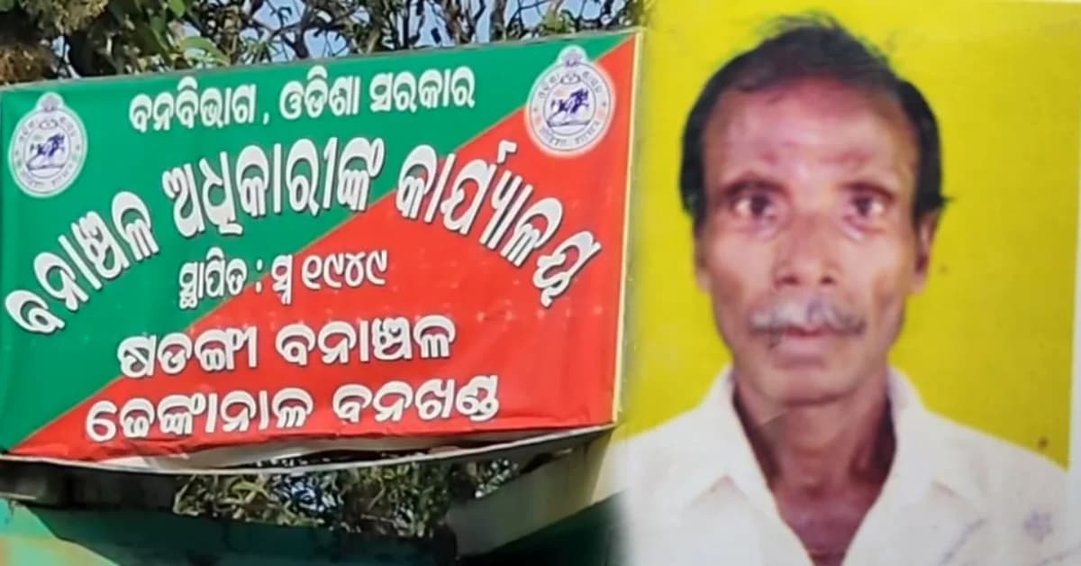 Four Elephant Attack Deaths In A Month In Dhenkanal, 65-Year-Old Among Latest Victims
