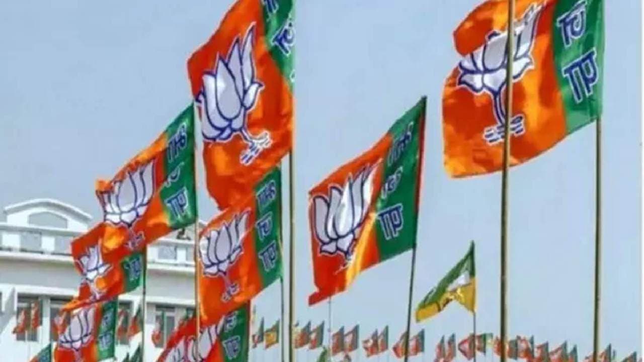 Lok Sabha Polls: BJP's Central Election Panel To Meet Again In Next Week