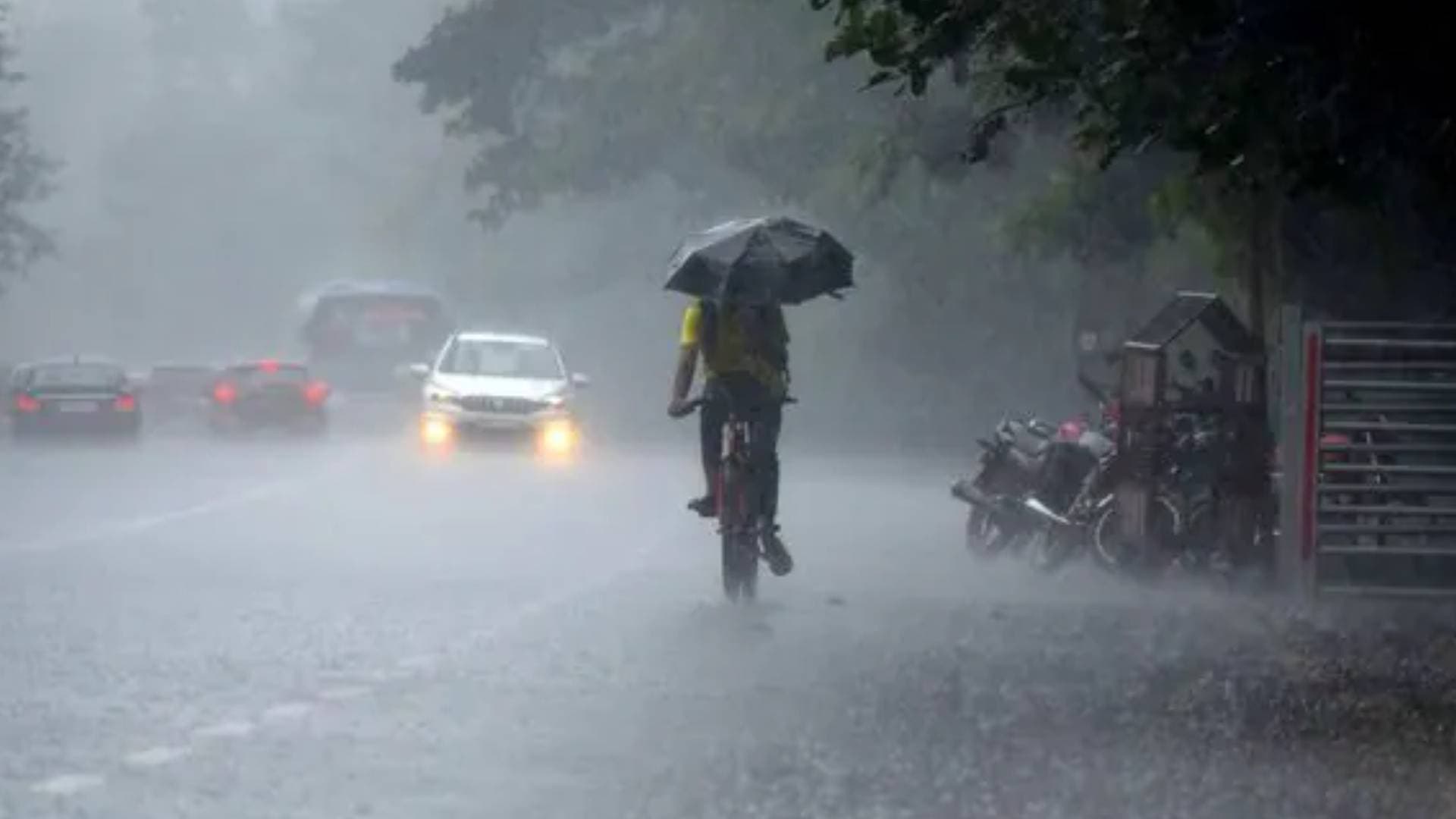 Odisha: Light To Moderate Rainfall Likely For 2 Days Over Coastal Districts