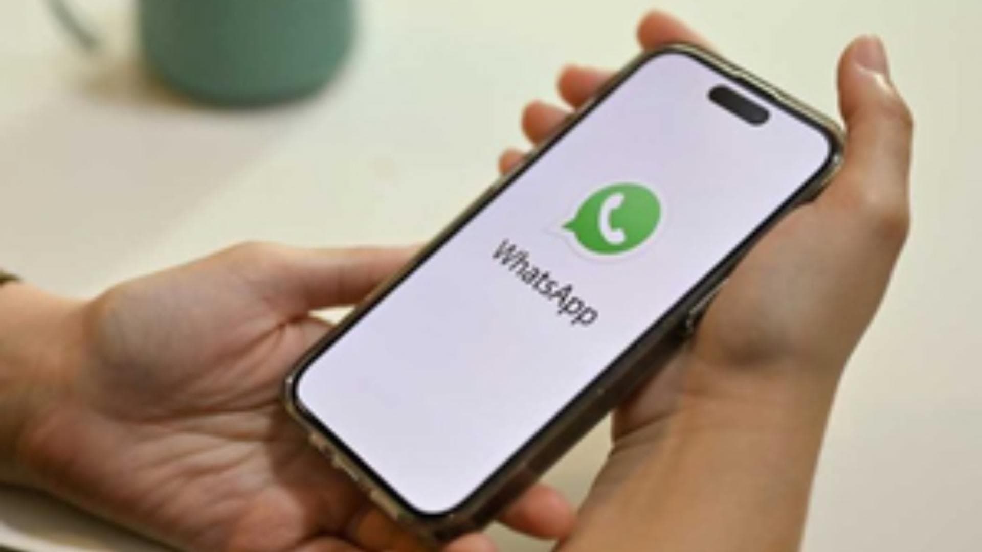 WhatsApp Gears Up To Roll Out 3rd-Party Chat Support