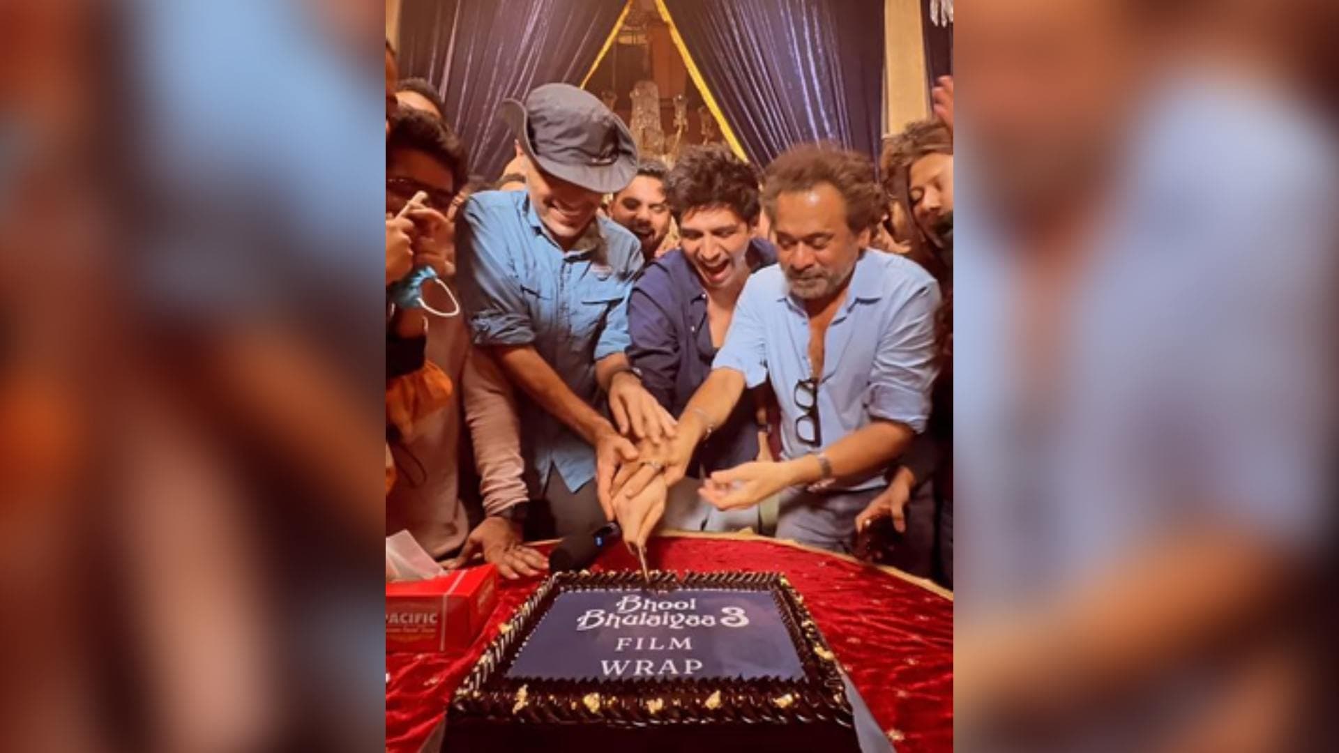 Kartik Aaryan Wraps 'Bhool Bhulaiyaa 3' Shoot