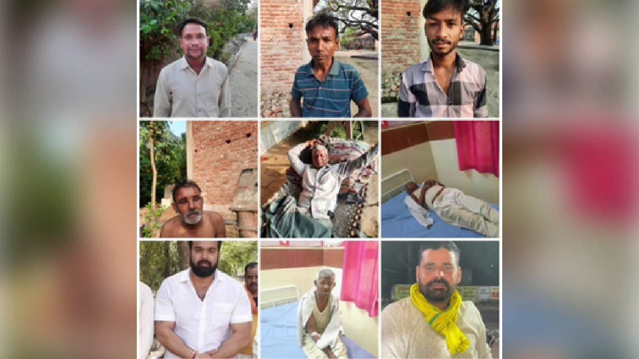 50 injured in bee attack in Lucknow