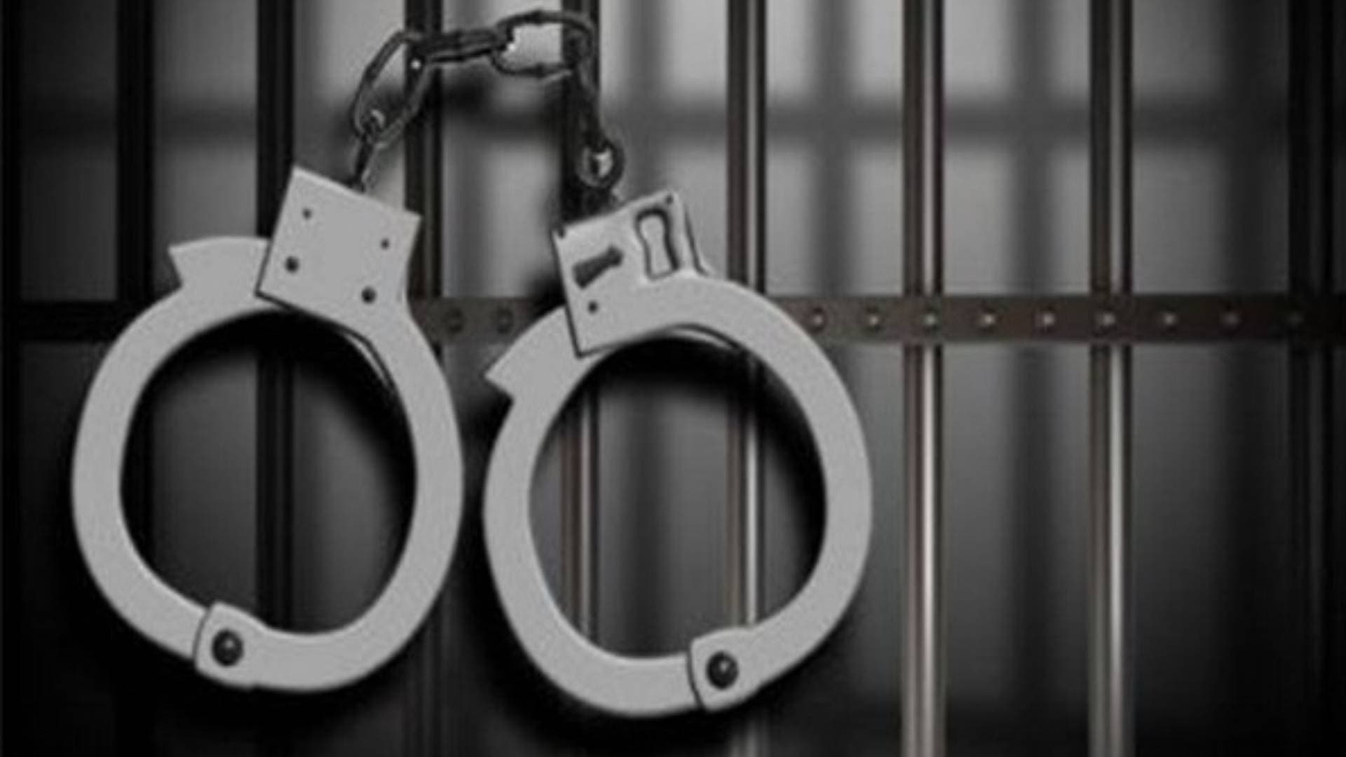 Odisha: STF Seizes 303 Kg Ganja In Kandhamal, 1 Arrested