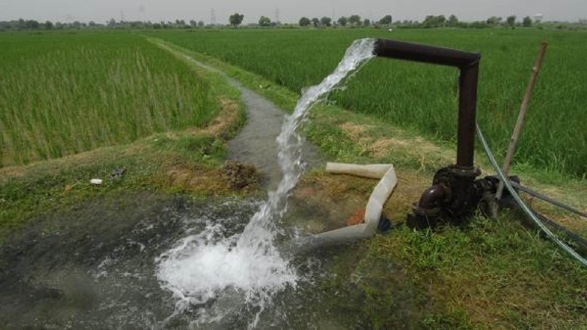 CM Majhi Orders To Address Water-Related Issues: Development Commissioner