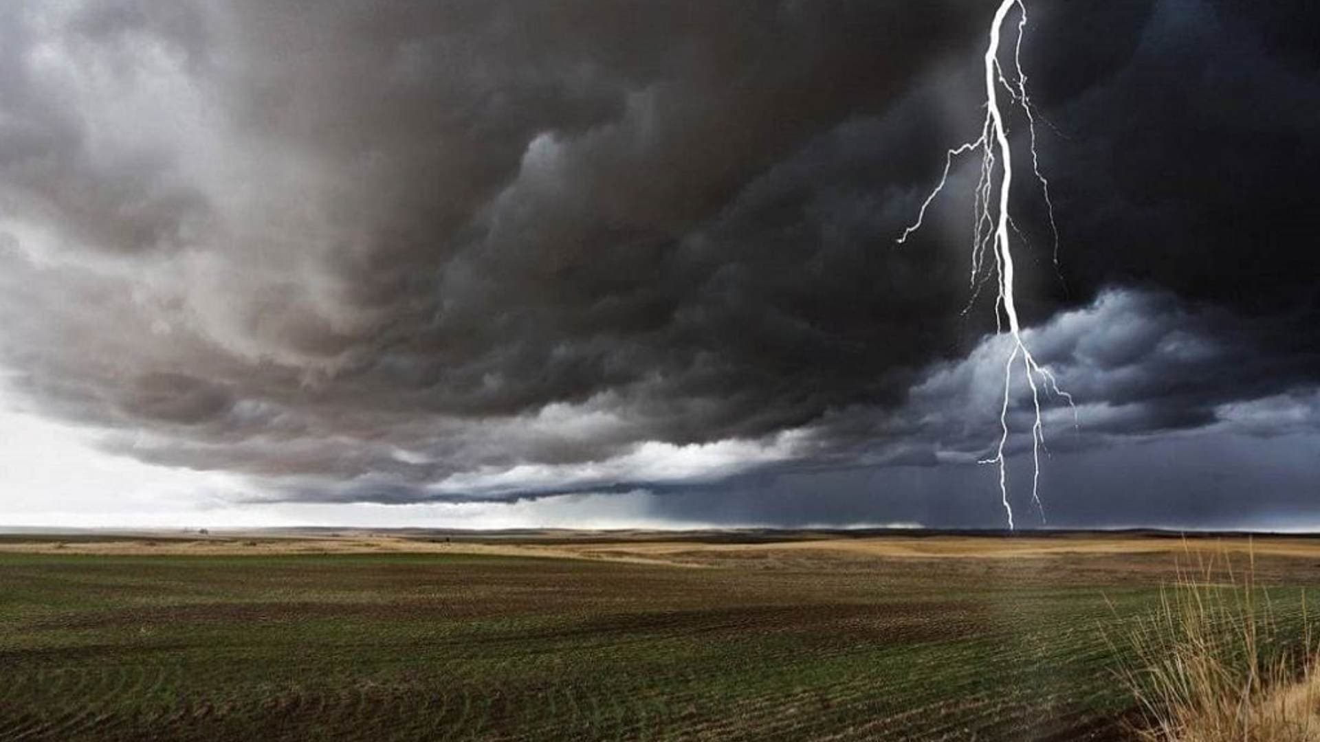 Puri: Lightning Near Bhuan Village Kills One, Injures Seven