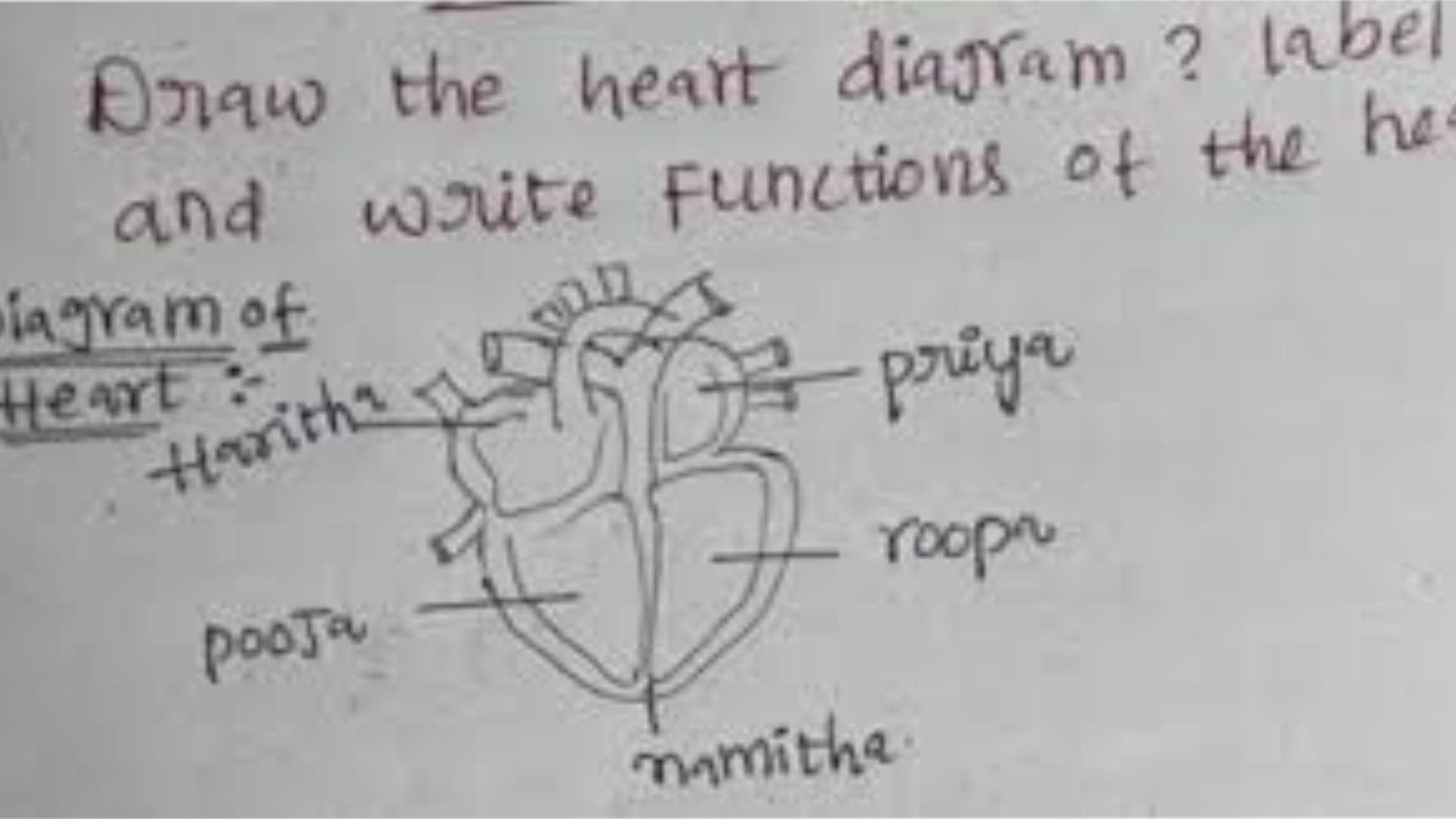 Student's Heart Diagram In Exam Goes Viral On Social Media