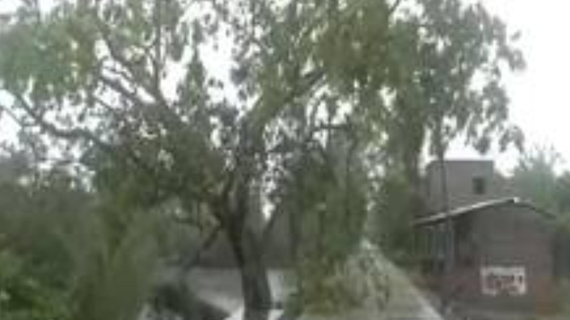 Cyclonic Storm Remal moves nearly northwards, with speed of 15 kmph: IMD