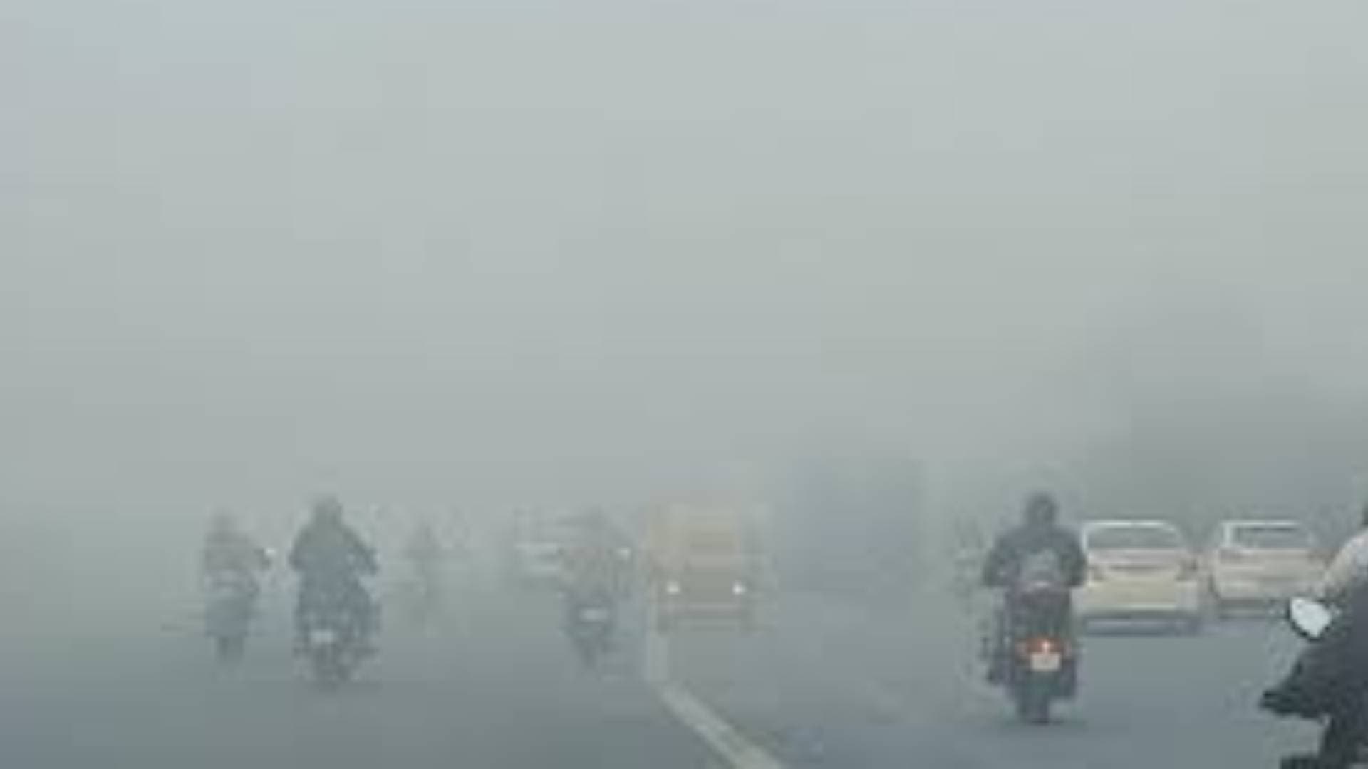 Yellow Alert Issued For Dense Fog In Odisha