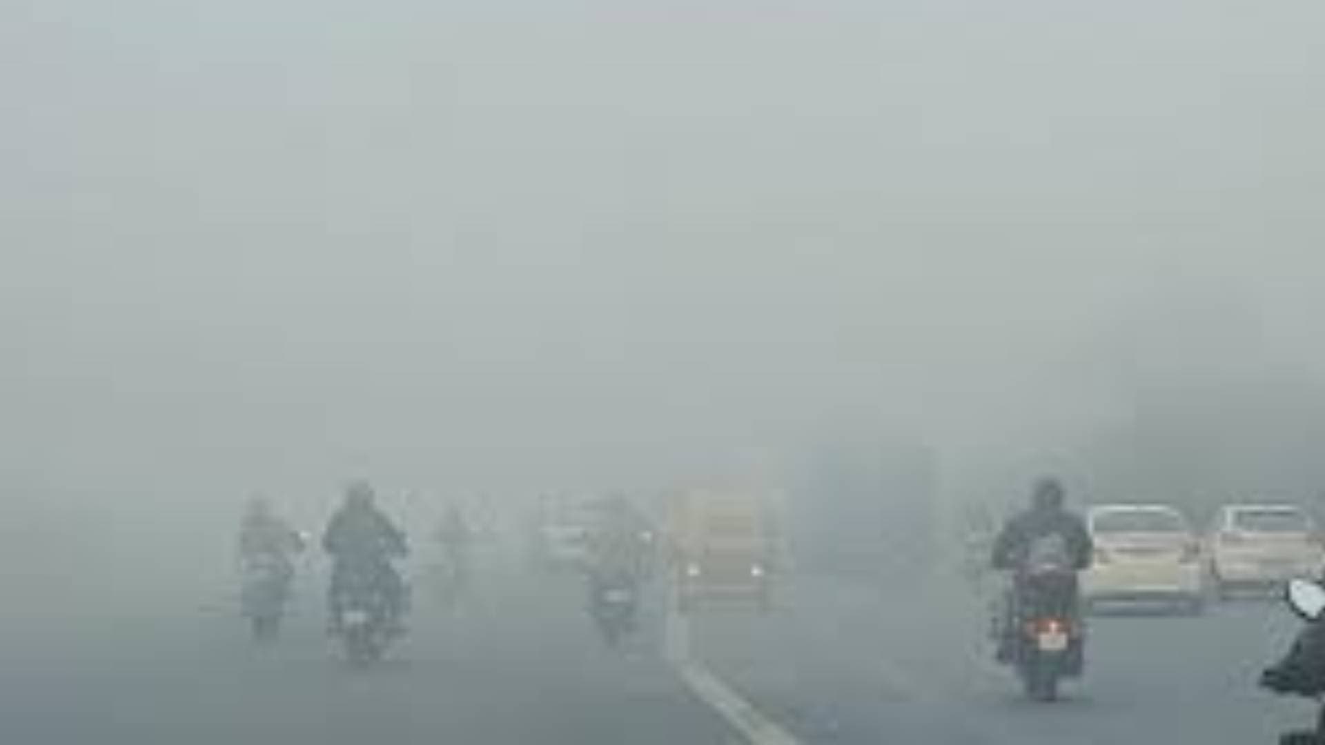 Dense Fog Likely To Envelope Several Districts In Odisha For 2 Days, Yellow Warning Issued