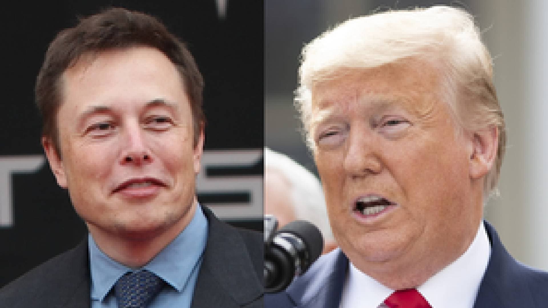 Musk's Trump Interview Delayed By Cyberattack