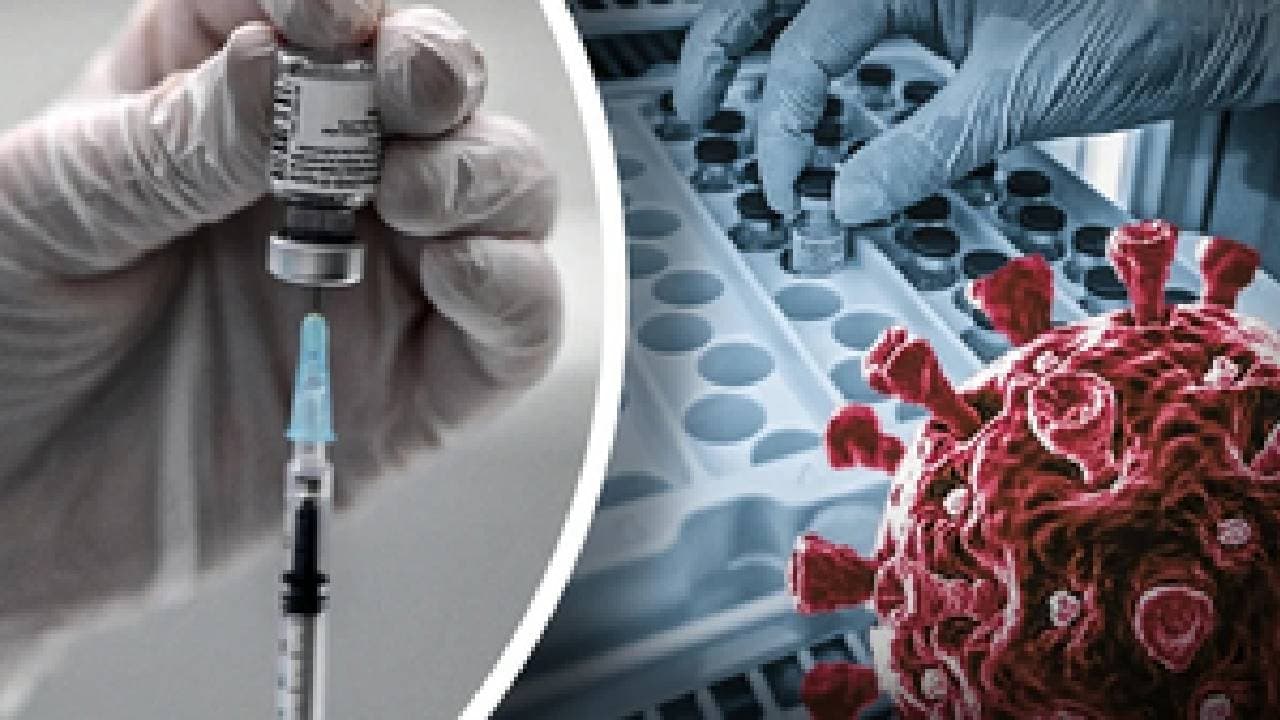 Scientists find compound to fight against Covid infection