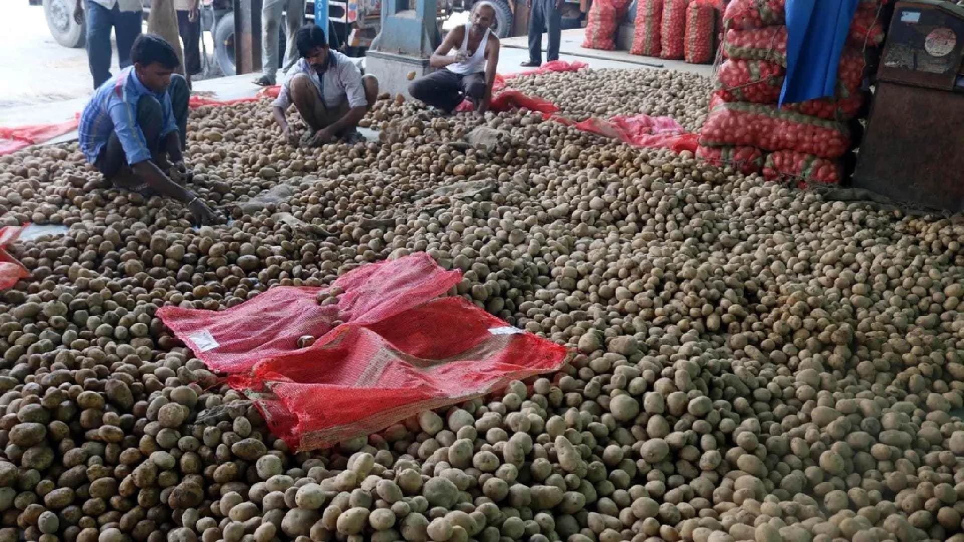 "If Not In Odisha, Then Not In WB As Well": Protesting Bengal Traders Stop Potato Supply In State