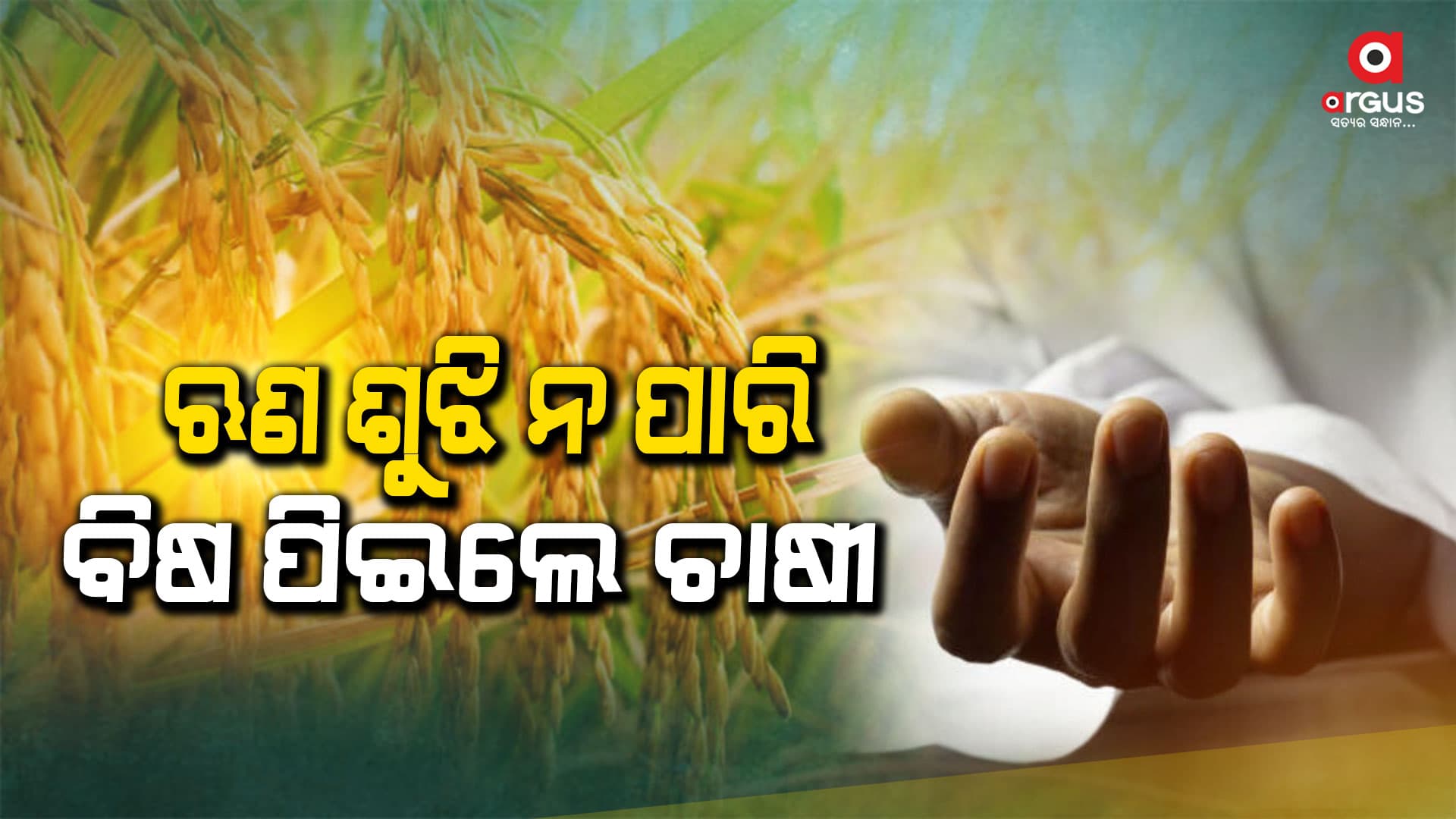 ବିଷ ପିଇ ଚାଷୀଙ୍କ ଆତ୍ମହତ୍ୟା