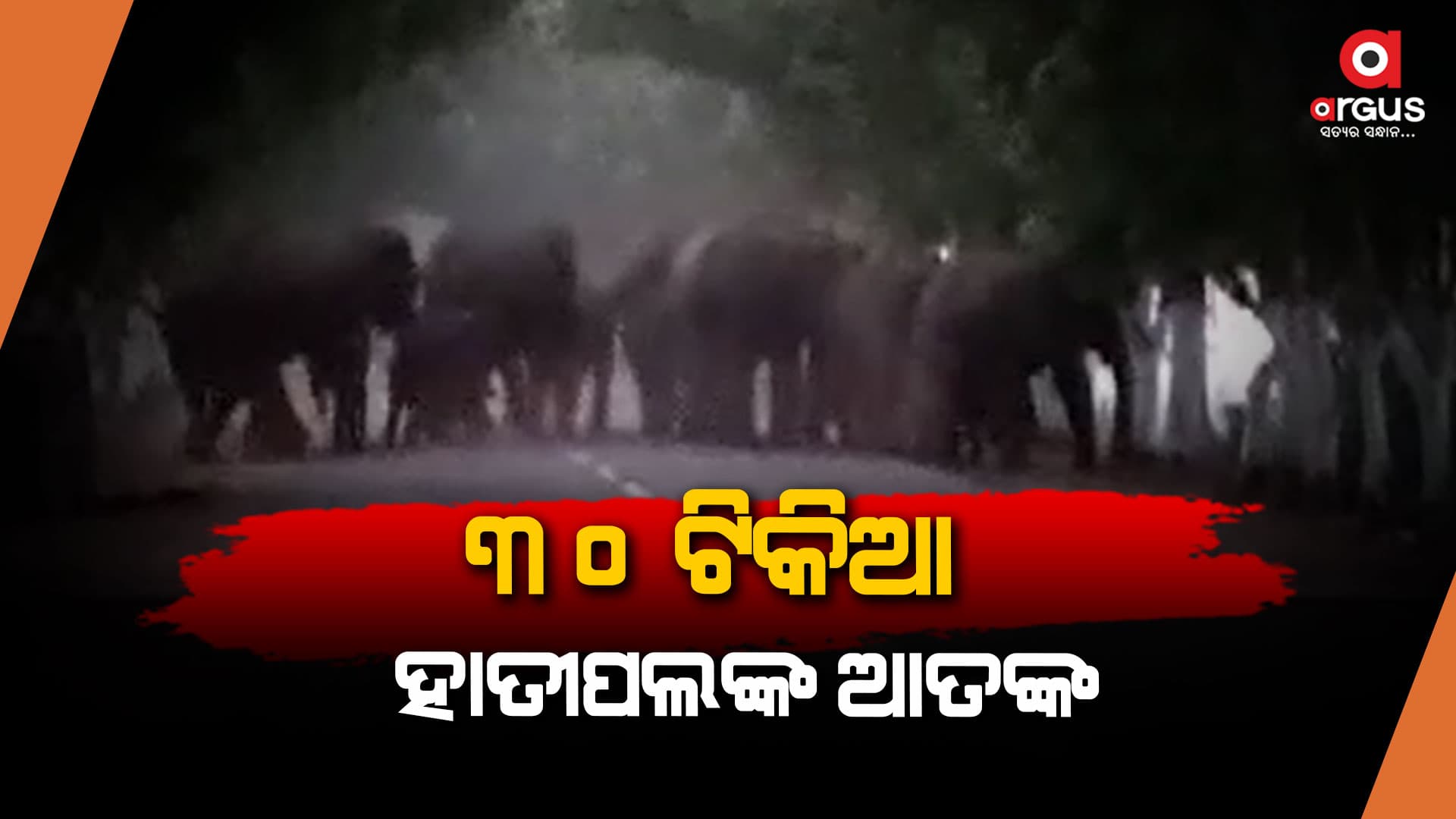 ହାତୀପଲଙ୍କ ଉତ୍ପାତ, ନଷ୍ଟ କରୁଛନ୍ତି ଫସଲ