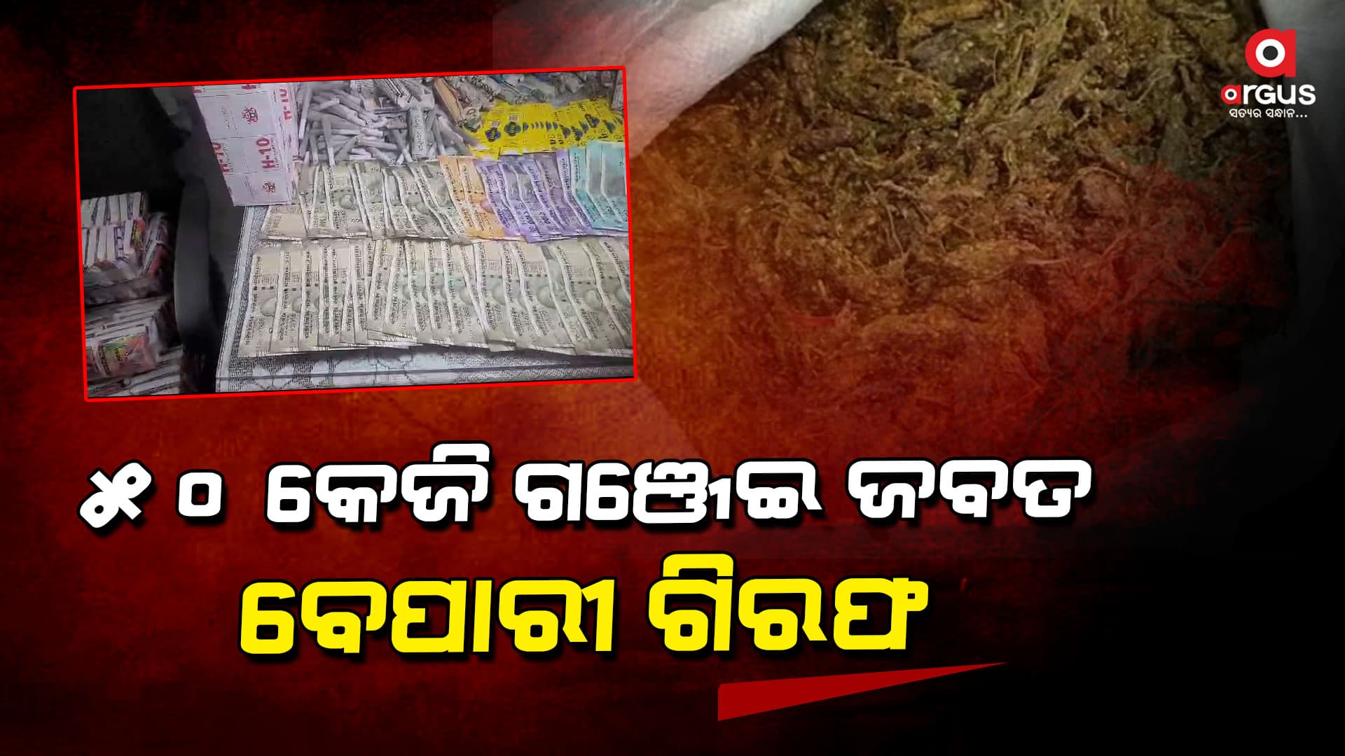 ଅବକାରୀ ବିଭାଗ ପଞ୍ଝାରେ ଗଞ୍ଜେଇ ବେପାରୀ