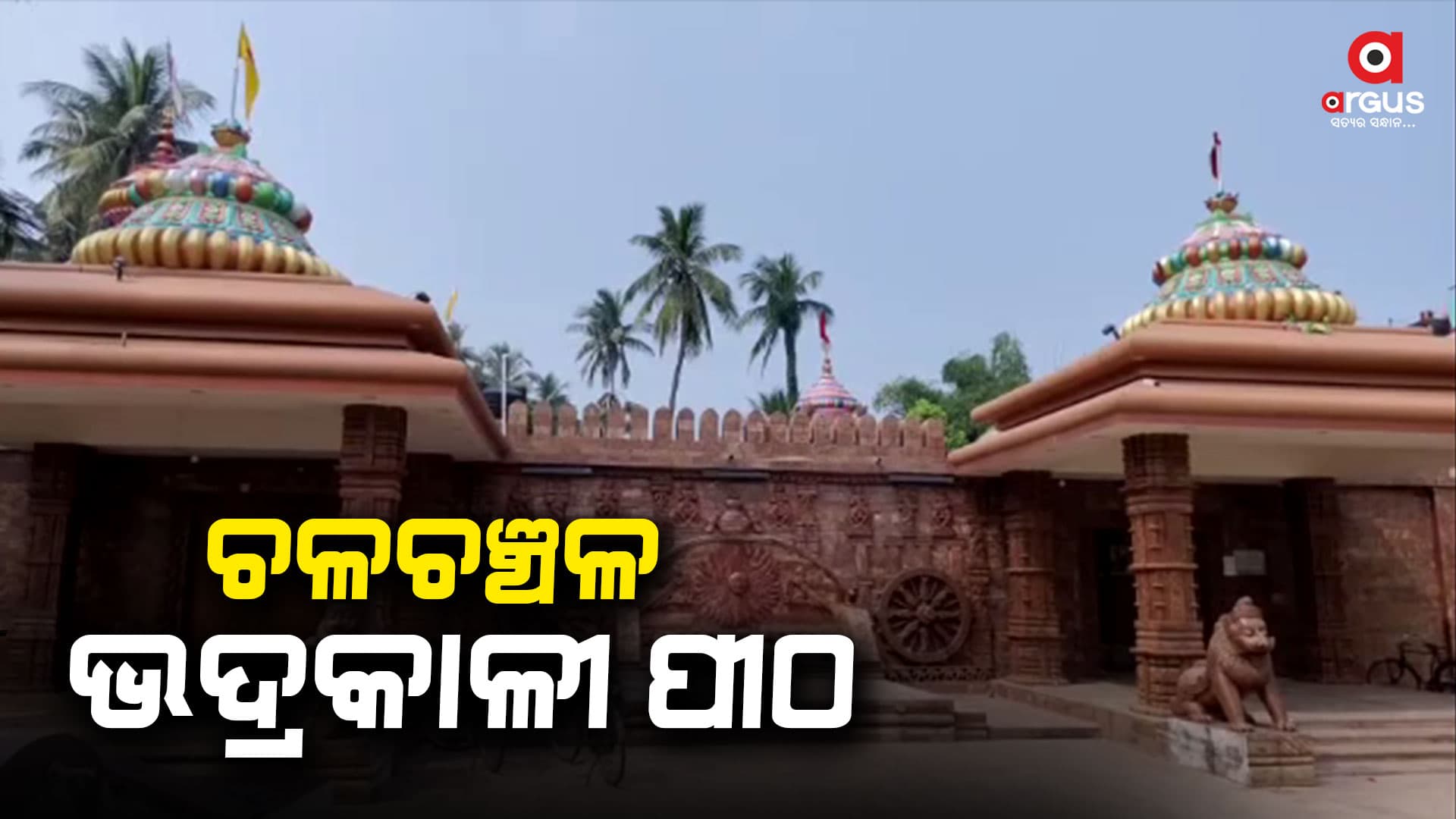 ମା ଭଦ୍ରକାଳୀ ପୀଠରେ ସପ୍ତଦିବସୀୟ ସପ୍ତଚଣ୍ଡୀ ପୂଜାର ଆୟୋଜନ