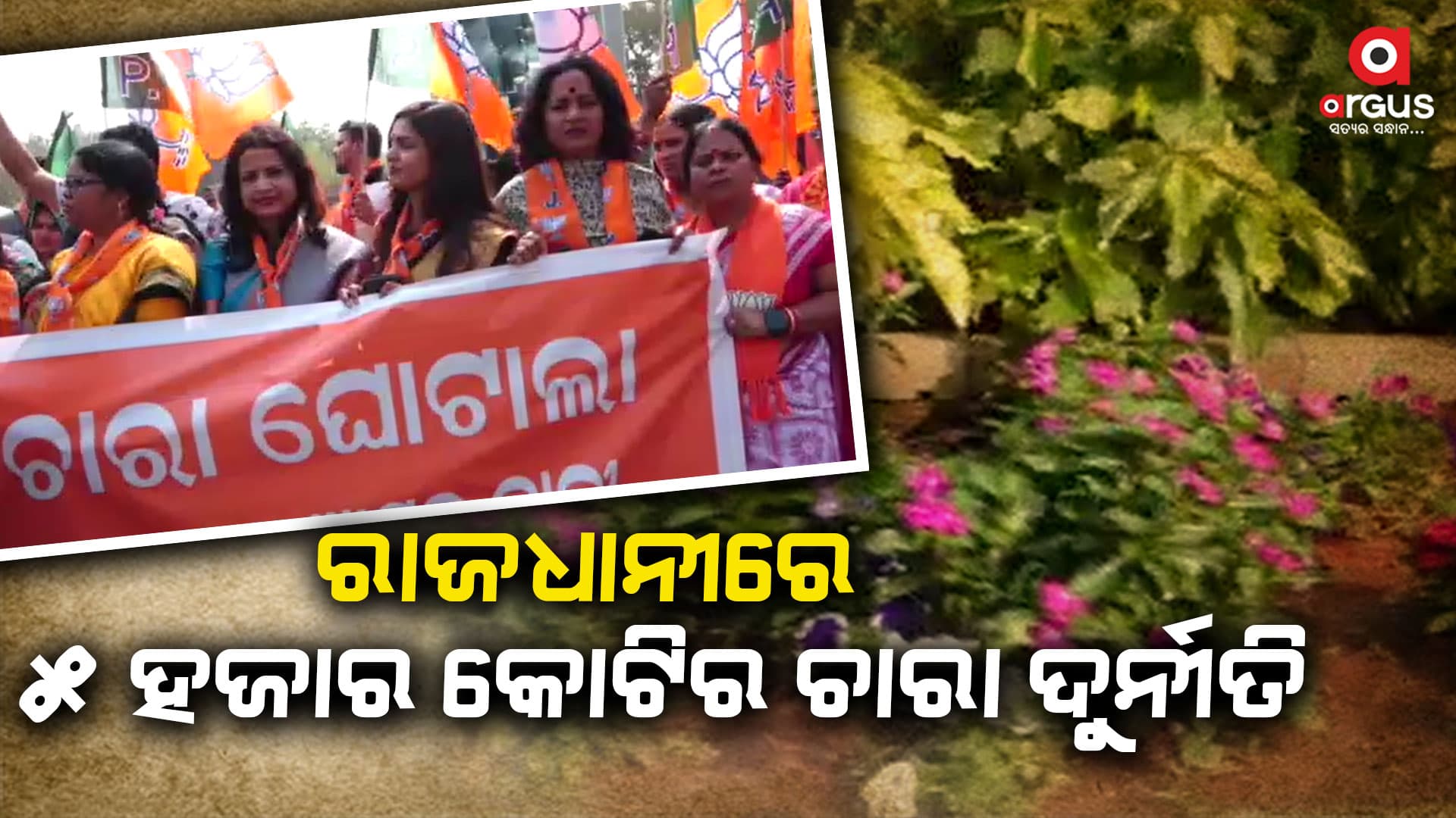 ଚାରା ଦୁର୍ନୀତିରେ ସିବିଆଇ ତଦନ୍ତ ଦାବି କରି ରାସ୍ତାକୁ ଓହ୍ଲାଇଲା ବିଜେପି