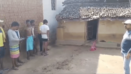 Tiger Mauls Elderly Woman To Death In Jungle On Odisha-Chhattisgarh Border