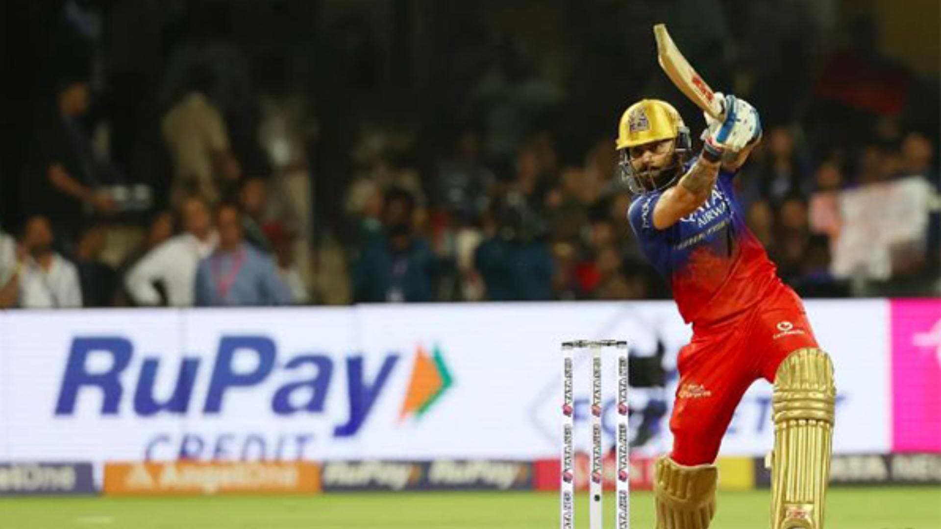 "It isn't like he had other end operating at same tempo...": Moody on Virat Kohli's knock against KK