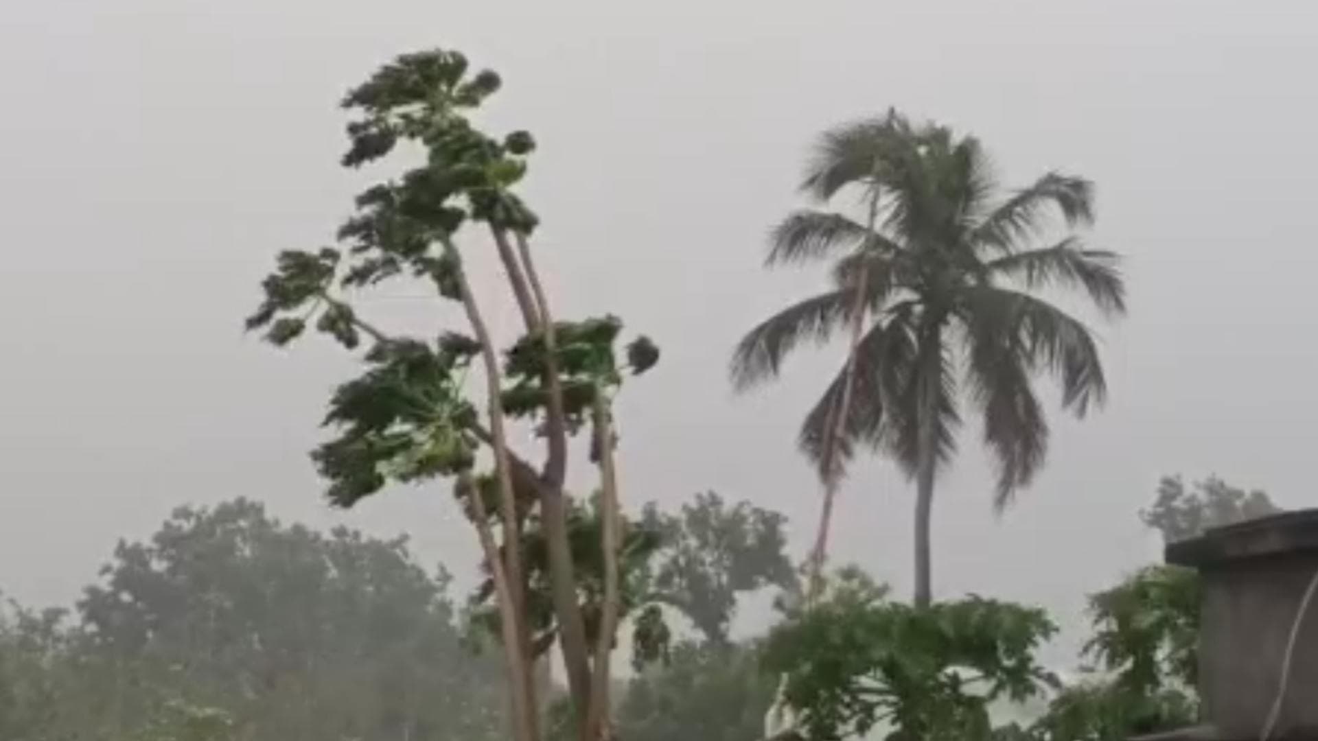 Nor'wester To Bring Respite From Intense Heatwave In Odisha