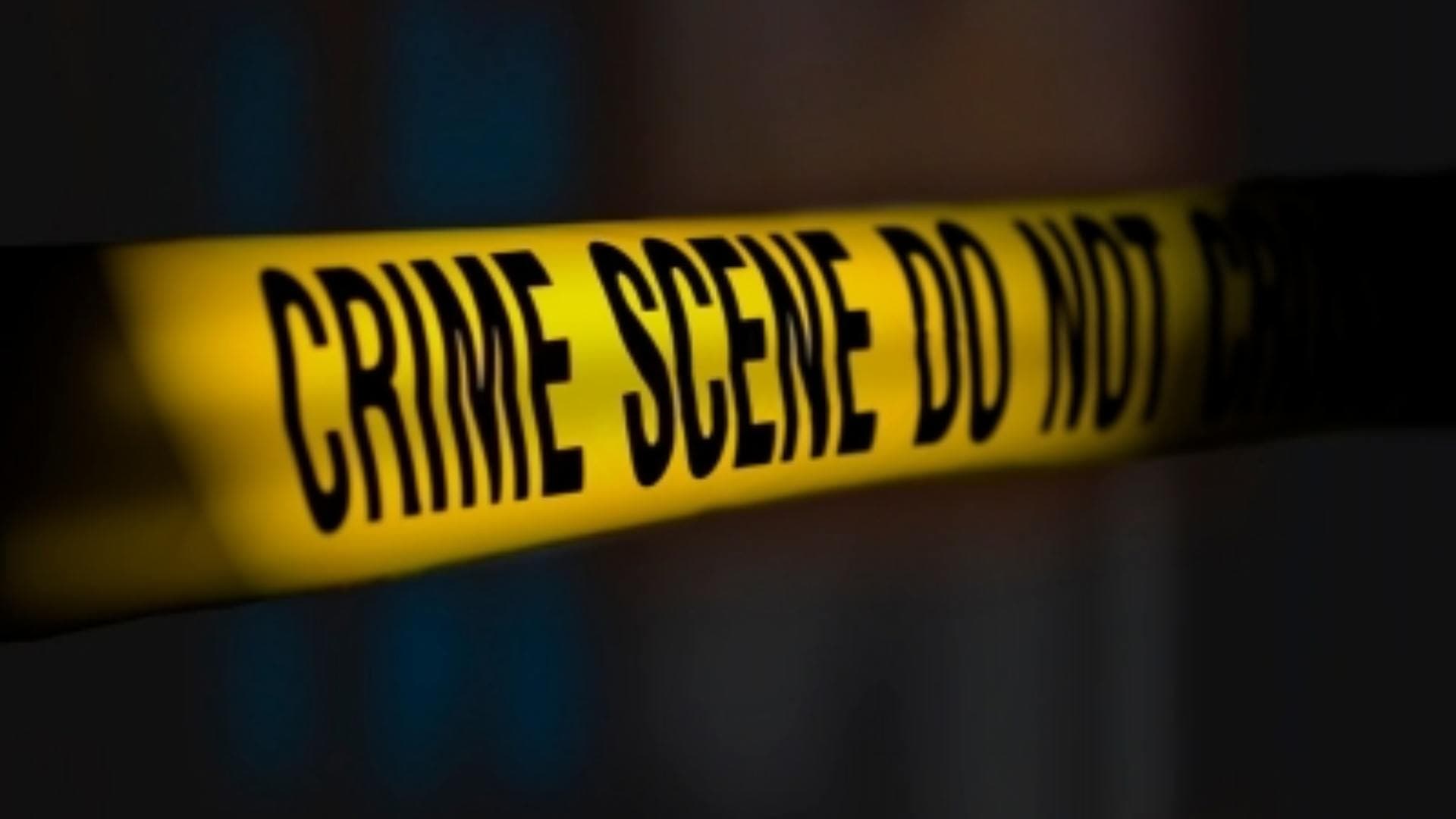 Three dead after mini car falls into paddy field in Japan